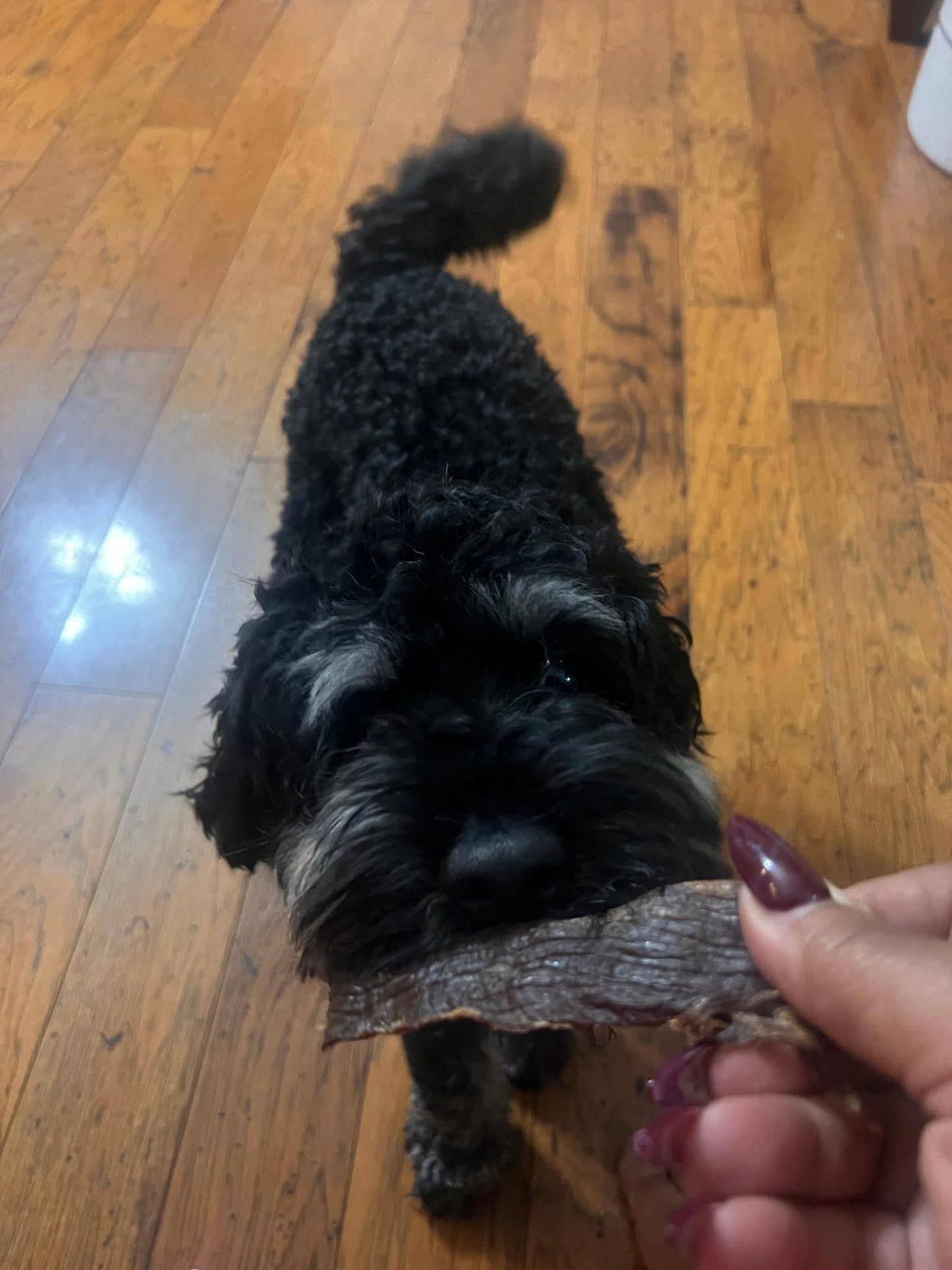 Jerky - Dog and Cat Treats
