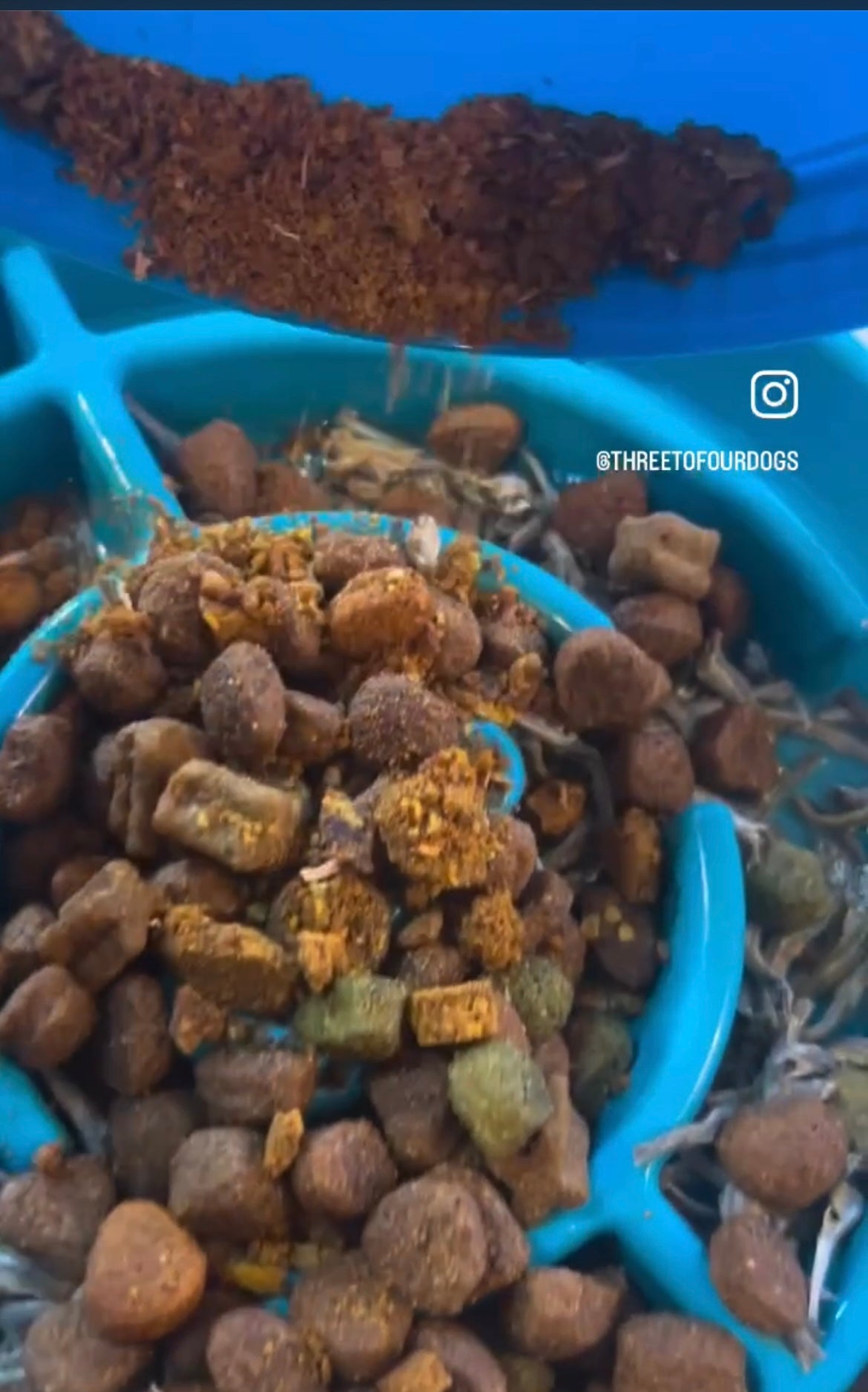 Food Topper for dogs.