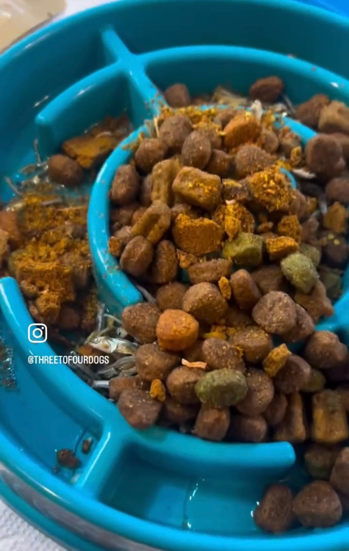 Food Topper for dogs.