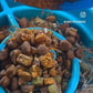 Food Topper for dogs.